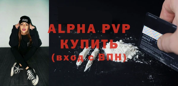 эйфоретик Бородино