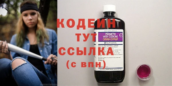 эйфоретик Бородино