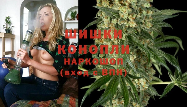 эйфоретик Бородино