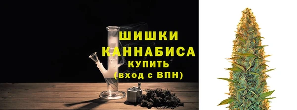 эйфоретик Бородино