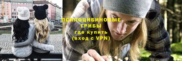 эйфоретик Бородино
