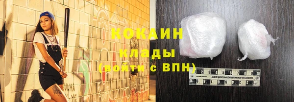эйфоретик Бородино